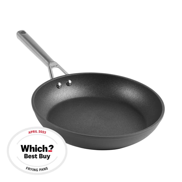 Best frying skillet outlet